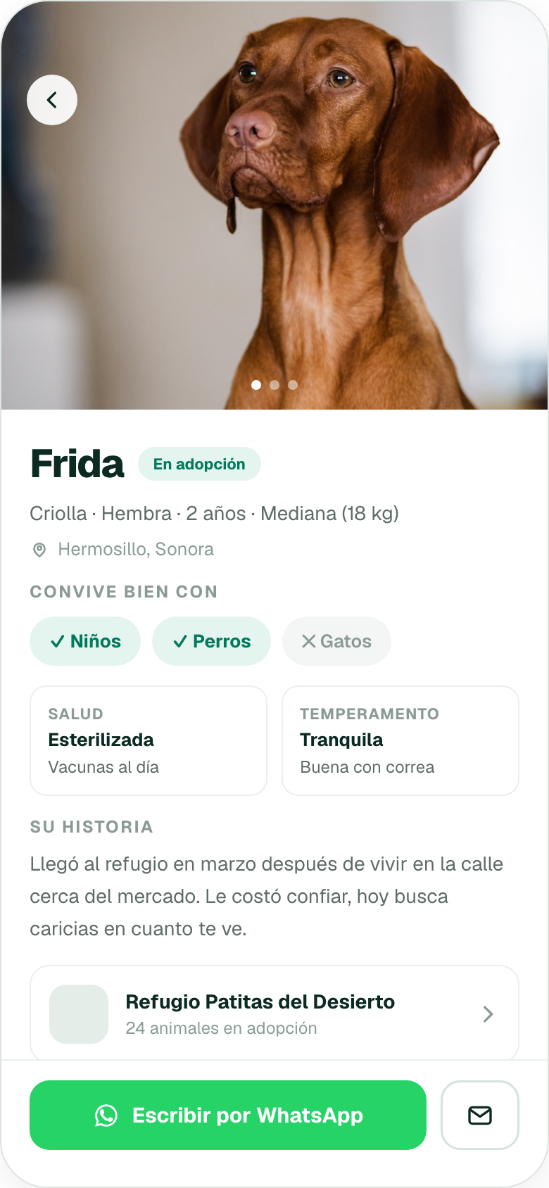 Ficha de un animal en la app de Kwella, con su estado de salud y vacunas
